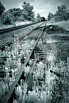 Train in railyard