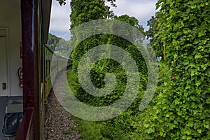 Train Ride Through Nantahala National Forest