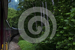 Train Ride Through Nantahala National Forest