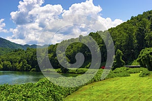 Train Ride Through Nantahala National Forest