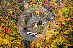 Train running into tunnel during autumn in Naruko gorge Tohoku r