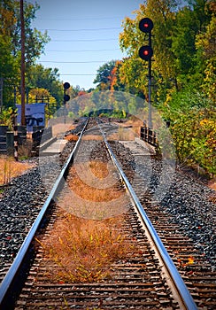 Train Signal