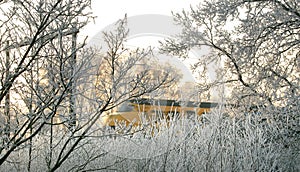 A train in a sunny wintry landscape