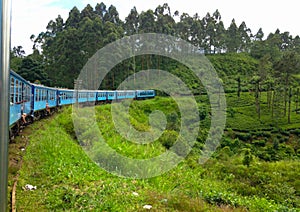 Train among the tea plantations