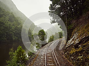 Train Track through Alongside the King River Tasmania
