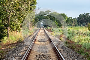 Train track going inside nature photo