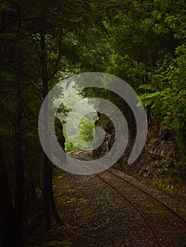 Train track heading from tunnel of dark vegetation into the light and open