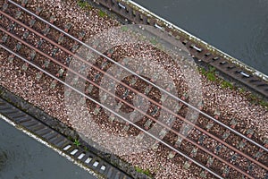 Train track, Vezac, France