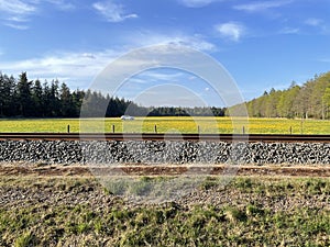 Train track with yellow flower field