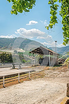 Train tracks along the Douro River in the wine region of the Douro Valley in Portugal Tua train station. Concept for travel in