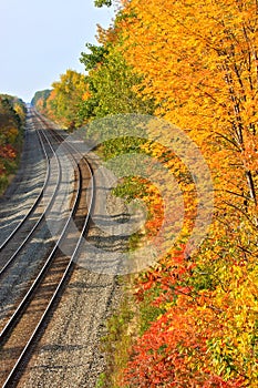 Train Tracks in Autumn