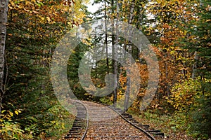 Train Tracks in Autumn Boreal Forest