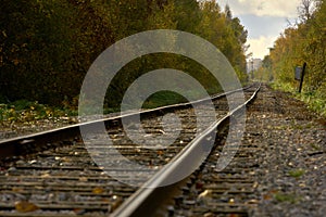 Train Tracks and Autumn Leaves