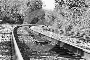 Train tracks in a black and white autumn landscape