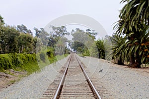 Train tracks Carpinteria California photo