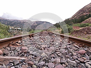 Train tracks close to bushes and trees photo