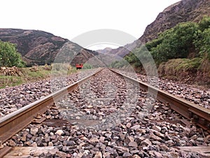 Train tracks close to bushes and trees photo