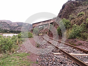 Train tracks close to bushes and trees photo
