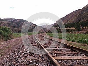 Train tracks close to corn farming photo
