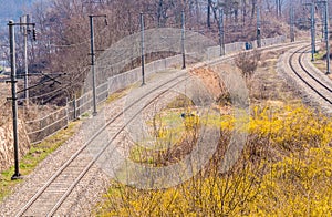 Train tracks in the country