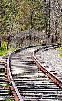 Train tracks curving right into trees.