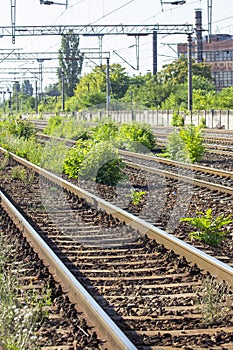 Train Tracks in depot