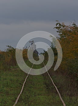 Train tracks edged by trees