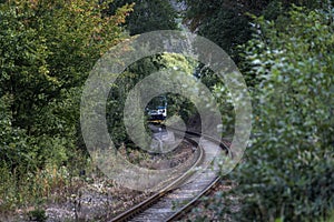A train on the tracks emerging in a bend between the green bushes
