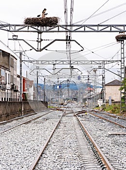 Train tracks at the entrance of the Monforte de Lemos station
