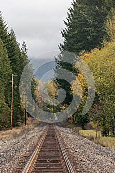 Train tracks on a fall day