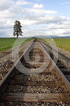 Train tracks through the field.