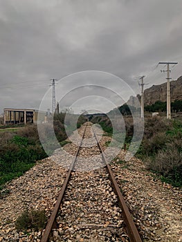 View of train tracks in the forest