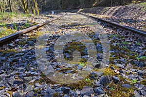 Train tracks from a frog\'s perspective