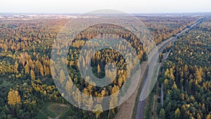 Train tracks through German forest