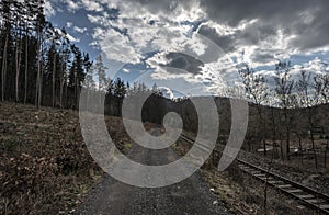 Train tracks next to forest path in Sazava river valley