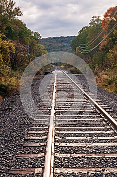 Train tracks running through the woods on an overcast fall day photo