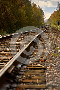Train Tracks and Autumn Leaves vertical