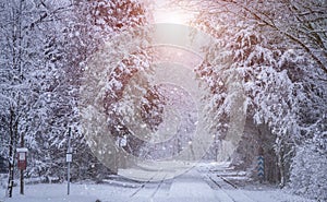 Train tracks in winter forest