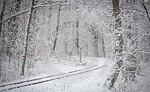 Train tracks in winter forest