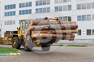 The train transported wood in a wood processing plant