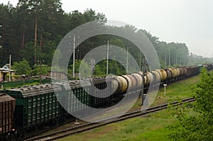 Train transporting cargo