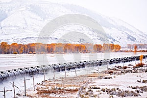 Train transporting tank cars. Season changing autumn to winter.