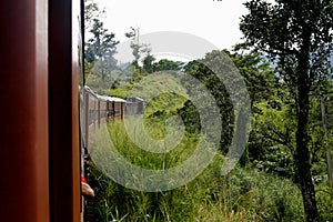 the Train travels through dense forest Colombo to Badulla