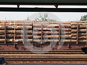 The train wagon loaded with timber