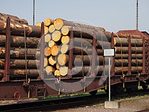 The train wagon loaded with timber