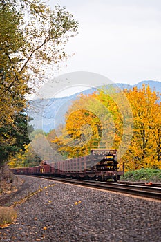 Train wagons carrying loads in the autumn rail road