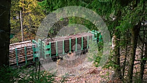 Train with wooden load moving through amazing green forest on autumn day spbas.