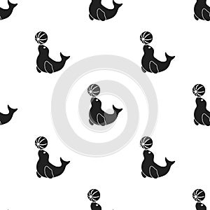 Trained fur seal icon in black style isolated on white background. Circus pattern stock vector illustration.