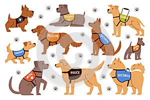 Trained security, medical, guide, therapy and rescuer service dogs assistants cartoon characters set