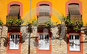 Trained vine on street facade, Banos de Montemayor